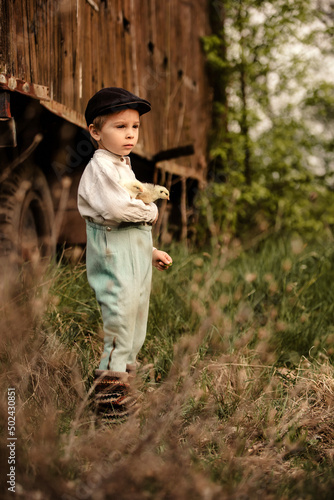 Beautiful toddler boy, child in vintage clothing, playing with little chicks in the park under blooming tree in garden