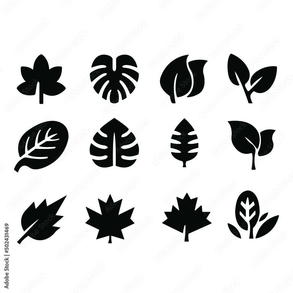 Silhouette of a group of leaves on a white background
Silhouette of a group of leaves on a white background