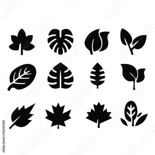 Silhouette of a group of leaves on a white background 