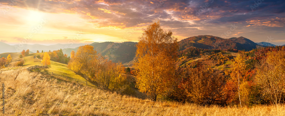 Ukraine. Warm autumn in a village. Picturesque beech, birch and pine forests and Hutsul houses against the backdrop of the Synevyr Pass ridge are very beautiful with bright colors after a fine day. - obrazy, fototapety, plakaty 