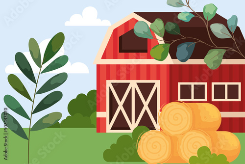straw with stable farm