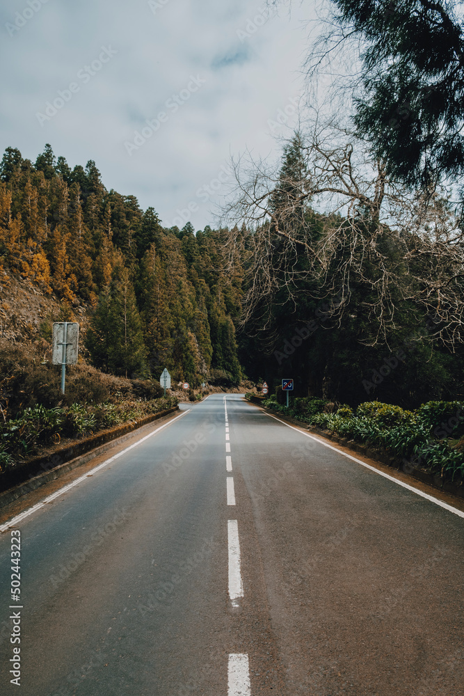 Empty road in São Miguel Island - Azores Archipelago Empty road in São Miguel Island - Azores Archipelago