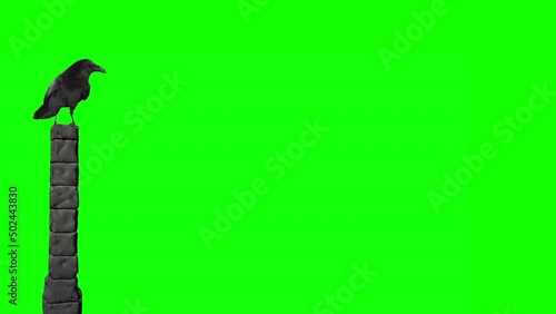 Raven on block pillar green screen