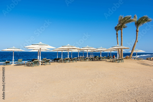 beach with palm trees