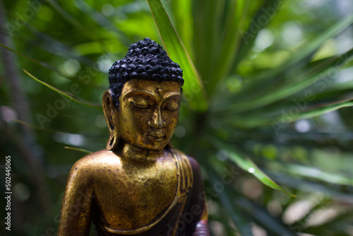 meditating buddha statue meditating buddha statue jungle background