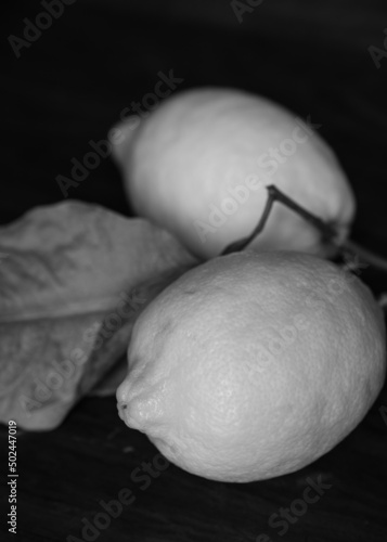 black and white photo of two lemons with leaves 