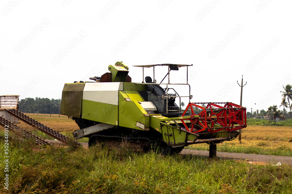 Fototapeta premium Green paddy harvesting machine in the paddy field