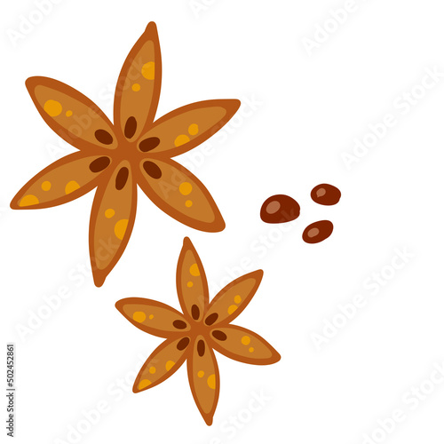 Anise star. Aromatic seasoning. Brown dried food and spice. Flat cartoon isolated on white
