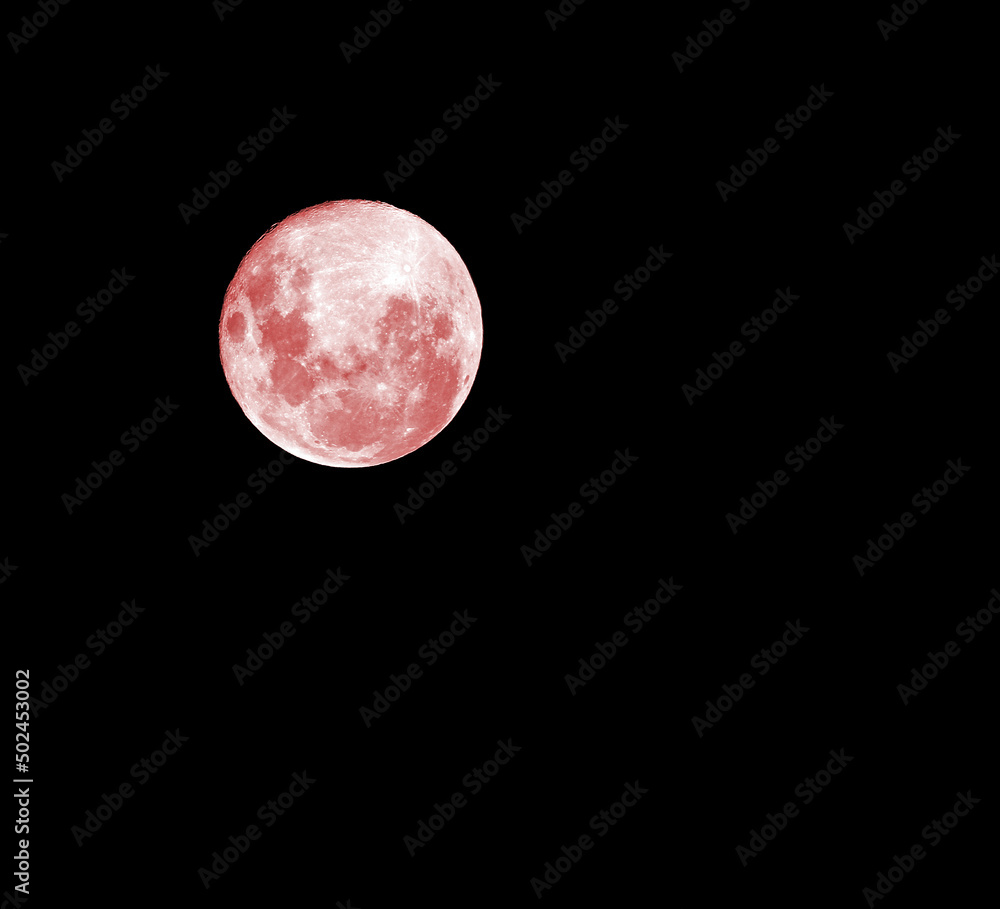 Fototapeta premium Red moon on the absolutely black sky