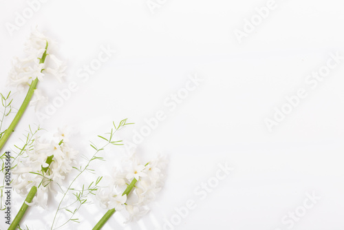White hyacinth flowers on a white background, summer floral arrangement