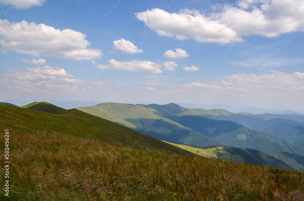 Summer natural landscape of a mountain range covered with dense forest and alpine green grassy meadows. Carpathian Mountains, Ukraine