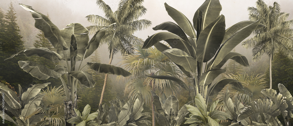 Fototapeta liście bananowca palmy mgła