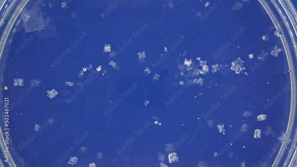 time lapse crystal growth from salt solution time lapse crystal growth from salt solution