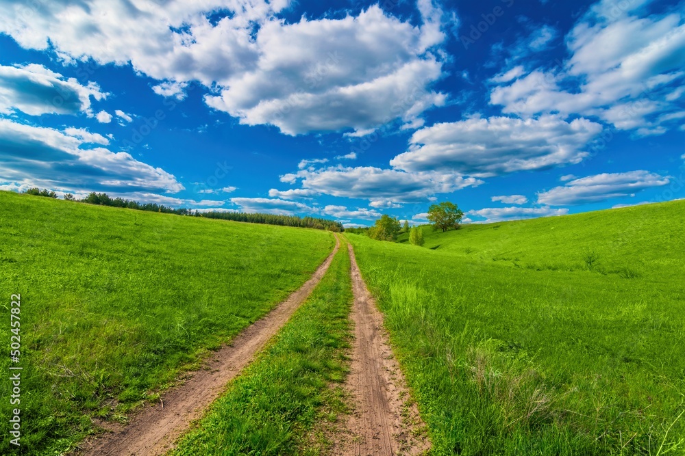 long rural road through beatiful green grass lawn hill to forest under cloudy sky