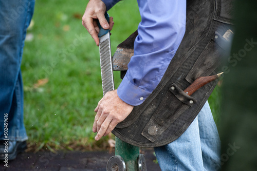 Obraz na płótnie Blacksmith rasping horse hoof