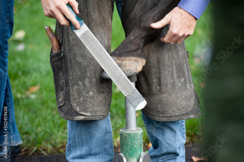 Rasping Horse Hoof photo