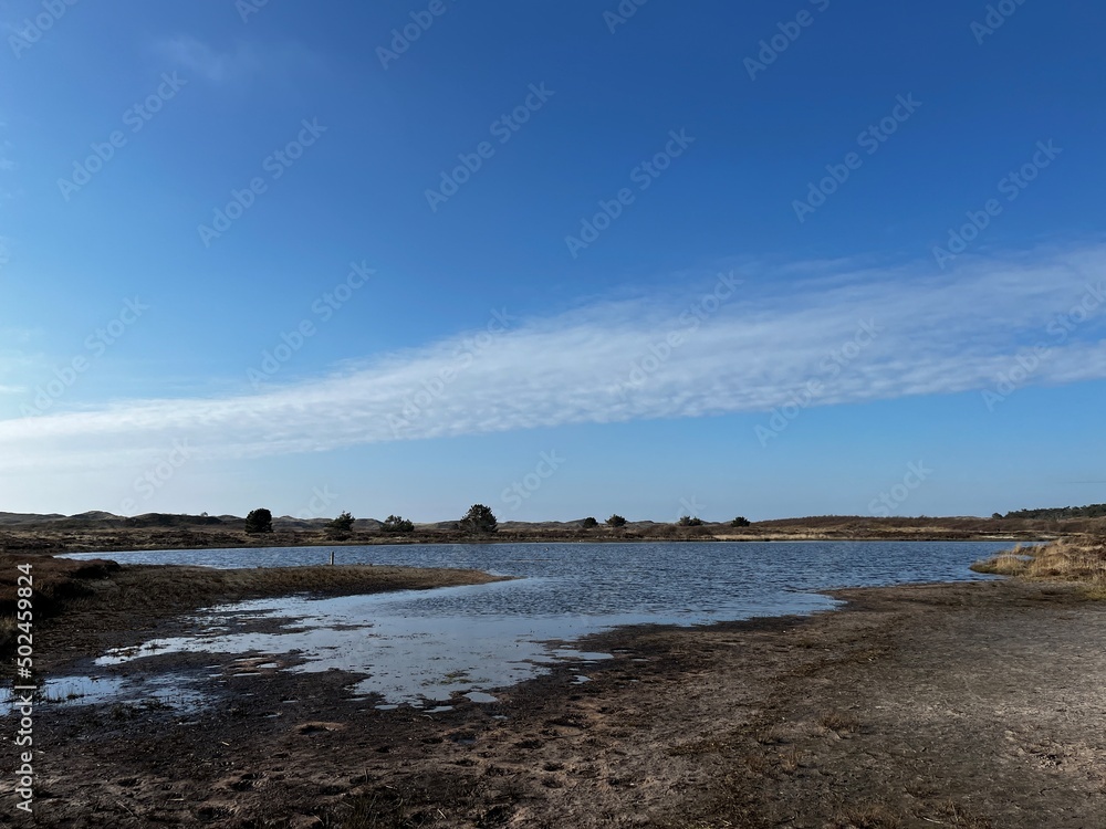 sea in the dunes