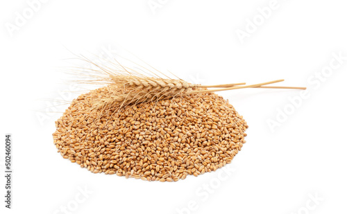 Whole grain of wheat.