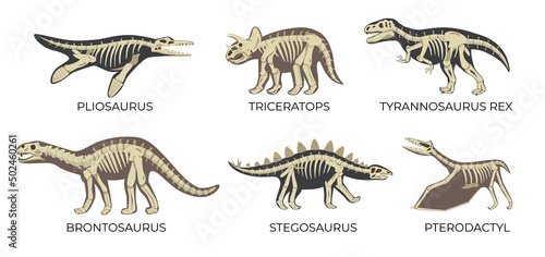 Dinosaur Skeleton Set