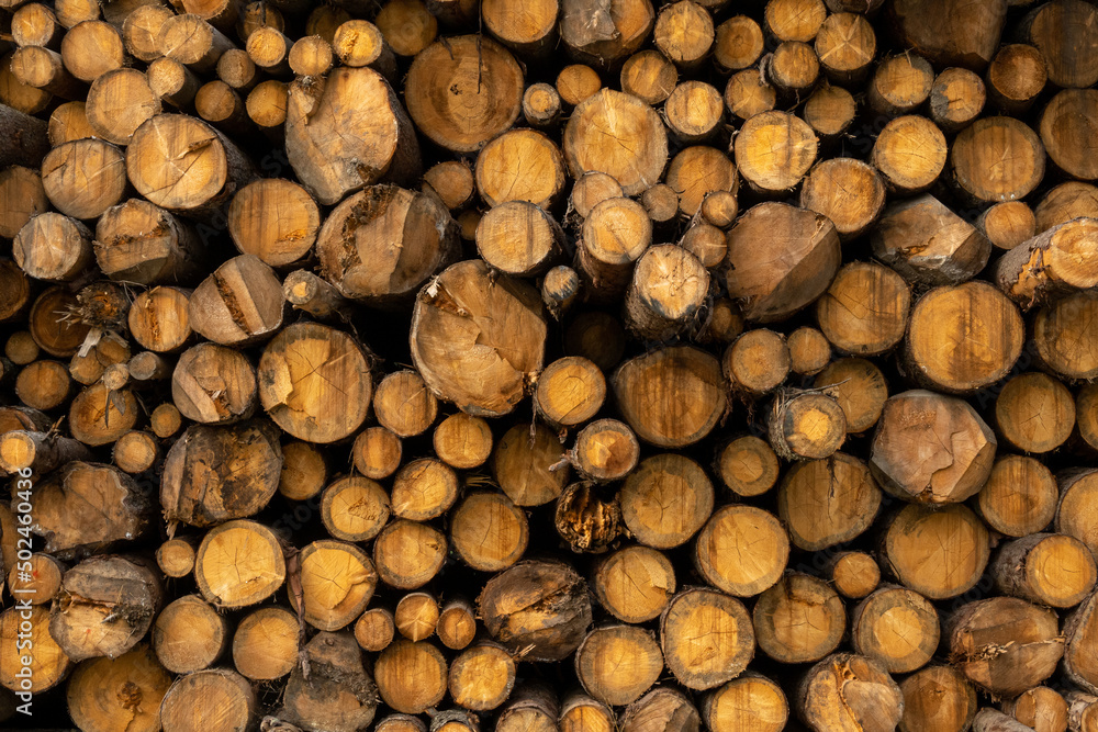 Pile of brown wood logs near the forest, air pollution and landslides due to massive deforestation. Pile of brown wood logs near the forest, air pollution and landslides due to massive deforestation.