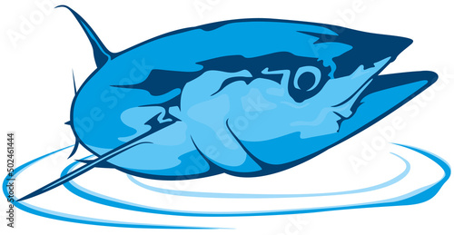 Drawing of Tuna Fish in Blue Tones - Colored Illustration Isolated on White Background, Vector