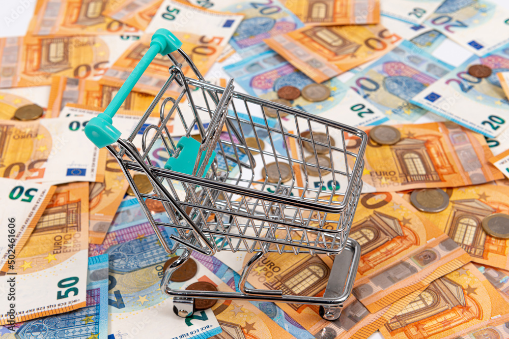 Obraz premium mini shopping cart on the background of euro coins and banknotes, close-up