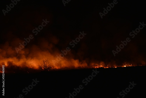 Night fire in a field with fire