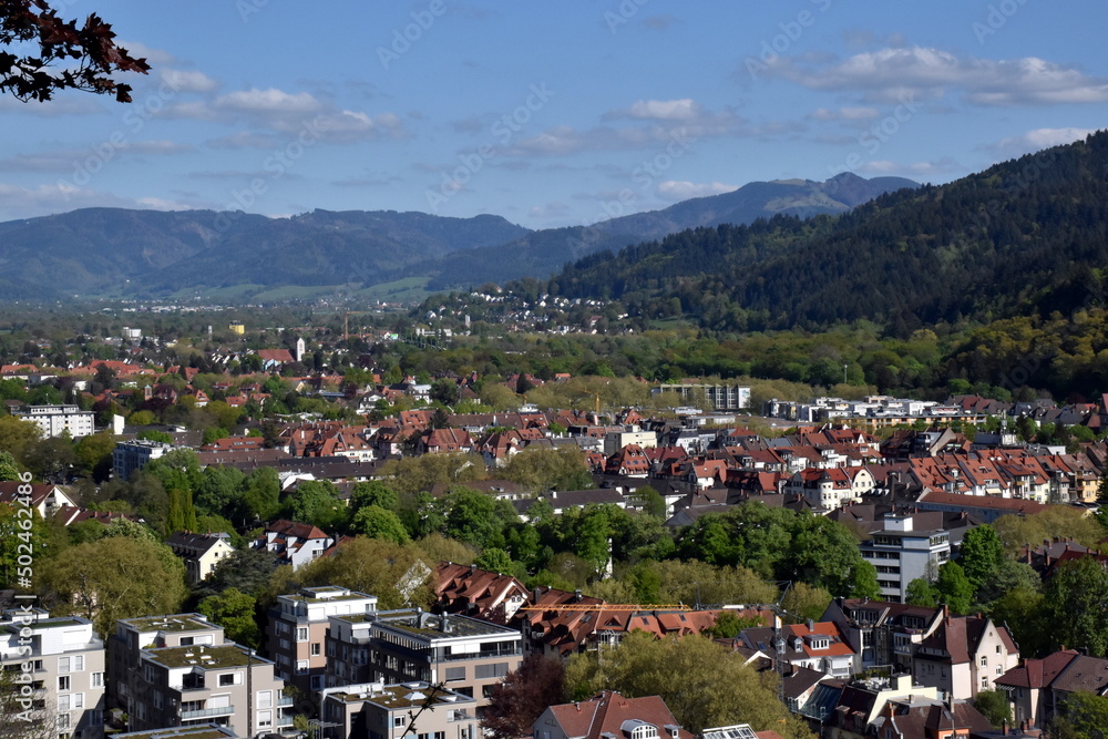 Frühling im Osten von Freiburg
