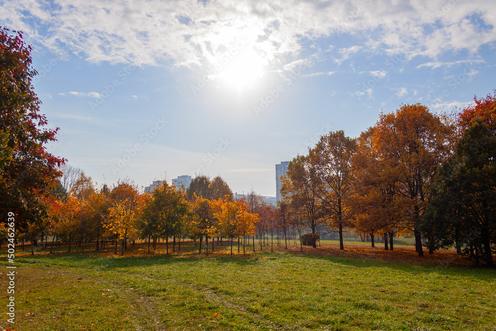 Autumn landscape - park of deciduous trees in early morning sunshine.