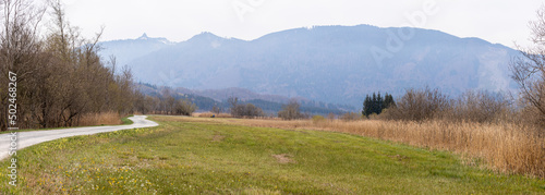 Panorama im Murnauer Moos mit den Alpen im Hintergrund photo