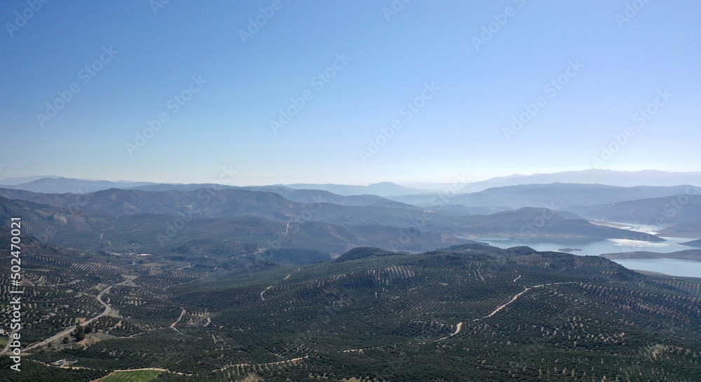survol des champs d'oliviers (oliveraies), hacienda et village blanc en Andalousie dans le sud de l'Espagne	