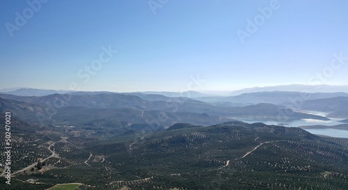 survol des champs d'oliviers (oliveraies), hacienda et village blanc en Andalousie dans le sud de l'Espagne 