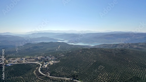 survol des champs d'oliviers (oliveraies), hacienda et village blanc en Andalousie dans le sud de l'Espagne	