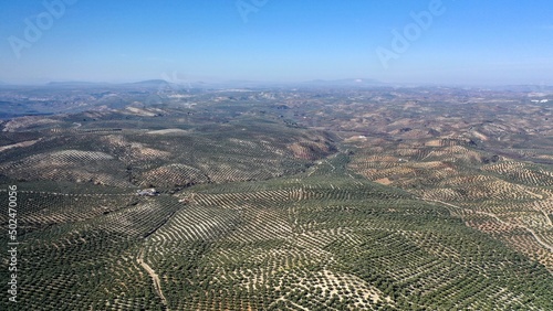survol des champs d'oliviers (oliveraies), hacienda et village blanc en Andalousie dans le sud de l'Espagne	