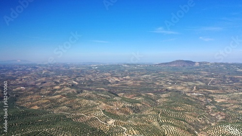 survol des champs d'oliviers (oliveraies), hacienda et village blanc en Andalousie dans le sud de l'Espagne	