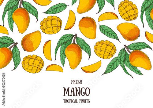 Mango fruit hand drawn package design. Vector illustration. Design, package, brochure illustration. Mango frame illustration. Can used for packaging design. Colorful.