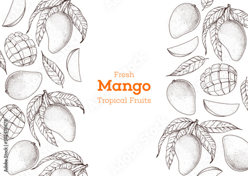 Mango fruit hand drawn package design. Vector illustration. Sketch for design, brochure illustration. Vintage retro design. Mango frame illustration. Can used for packaging design.