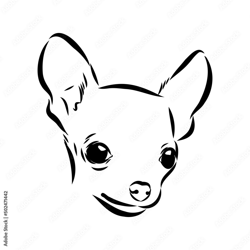 Chihuahua dog - isolated vector illustration chihuahua vector Chihuahua dog - isolated vector illustration chihuahua vector