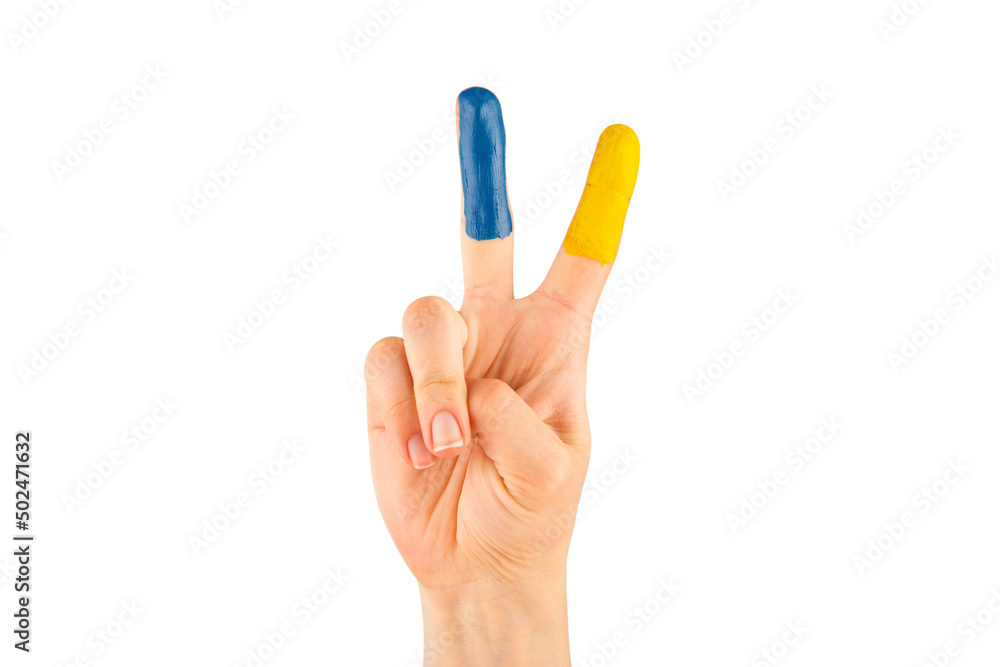 woman hands painted in the colors of the national flag of Ukraine woman hands painted in the colors of the national flag of Ukraine