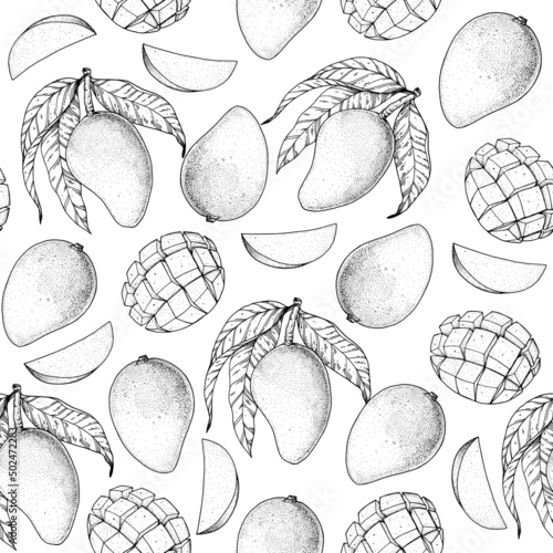 Mango fruit sketch, hand drawn package design. Vector illustration. Seamless pattern. Mango illustration. Can used for packaging design.