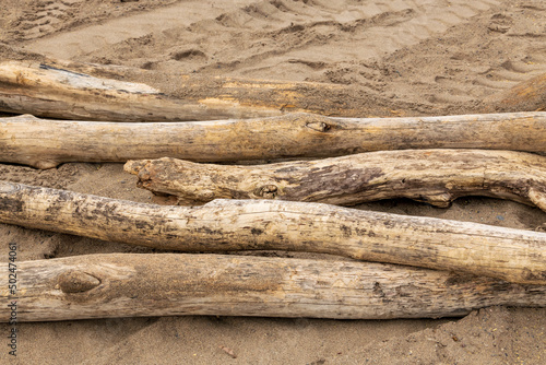 Background.  Drift wood logs on a sandy beach.  Horizontal.  Shot in Toronto's Beaches neighbourhood n spring. photo