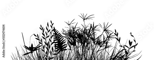dark Thick Grass in the summer - isolated on white background. Grass silhouette. Vector illustration