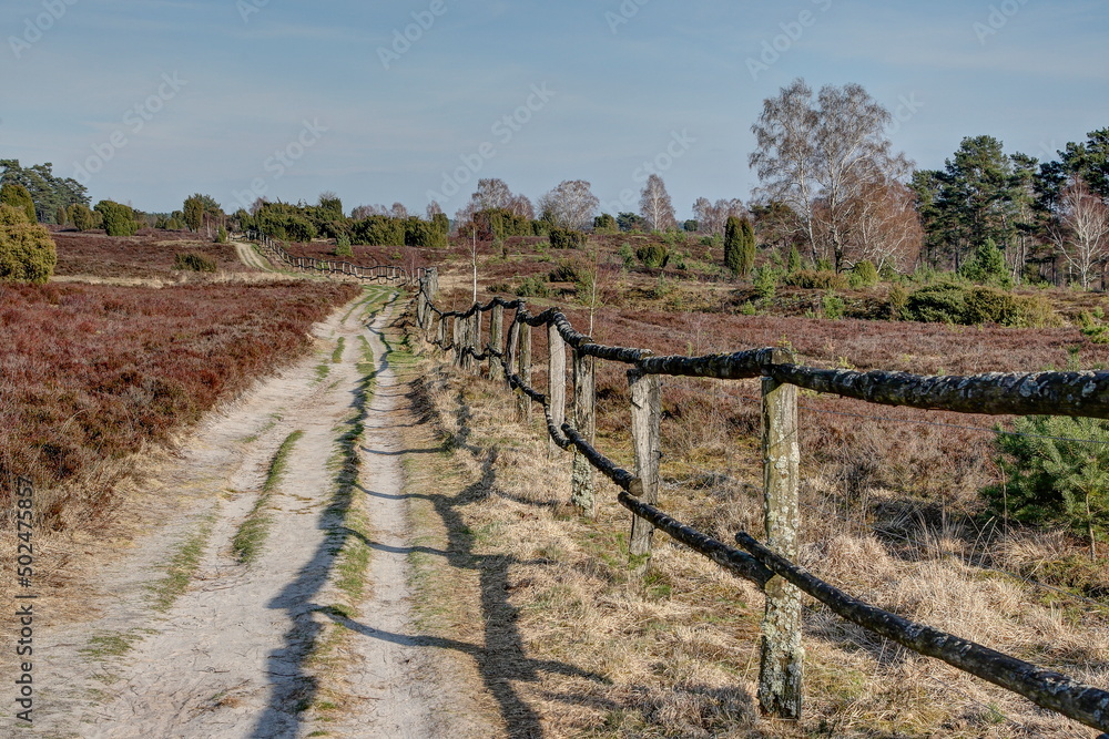 Along the old weathered wooden fence leads the seemingly infinite trail through the nature reserve Luenburger heath which offers hikers a great nature experience in spring as well.