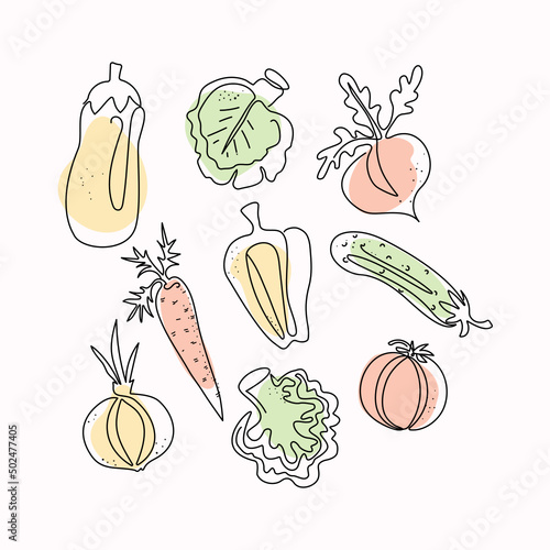 Set of line art vegetables hand drawn. Vector illustration. Isolated background.