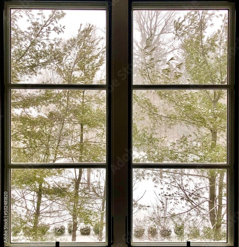 The view from a window on a snowy morning