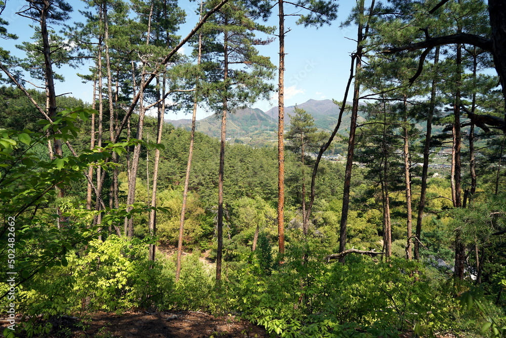 Trail Trail