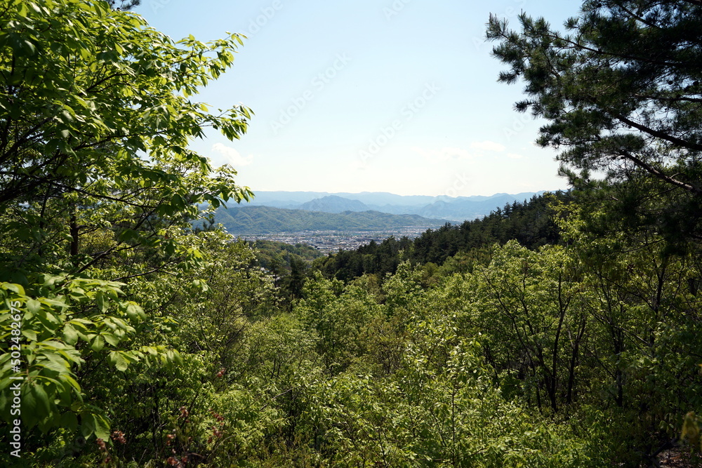 Trail Trail