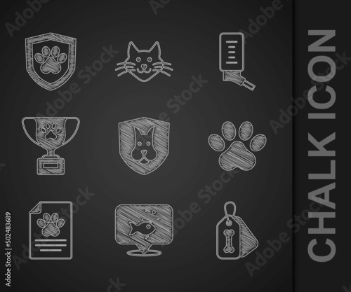 Set Animal health insurance, Fish, Dog collar with bone, Paw print, Medical clinical record pet, Pet award symbol, Drinker for small pets and icon. Vector