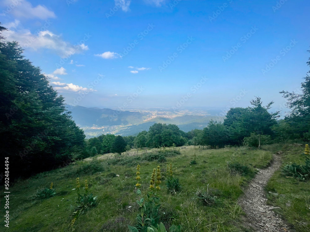 Naklejka premium Mountain landscape with a view of the plain and the city, thick green trees and ancient hills in the background, on a sunny summer day with some clouds