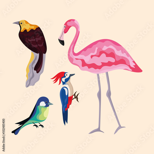 cute exotic birds icons